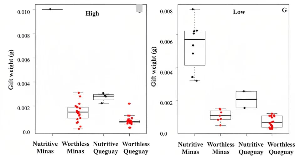 Open access visualization of Box Plot, Scatter Plot, Raincloud Plot, Prey availability, Nuptial Gifts Weight