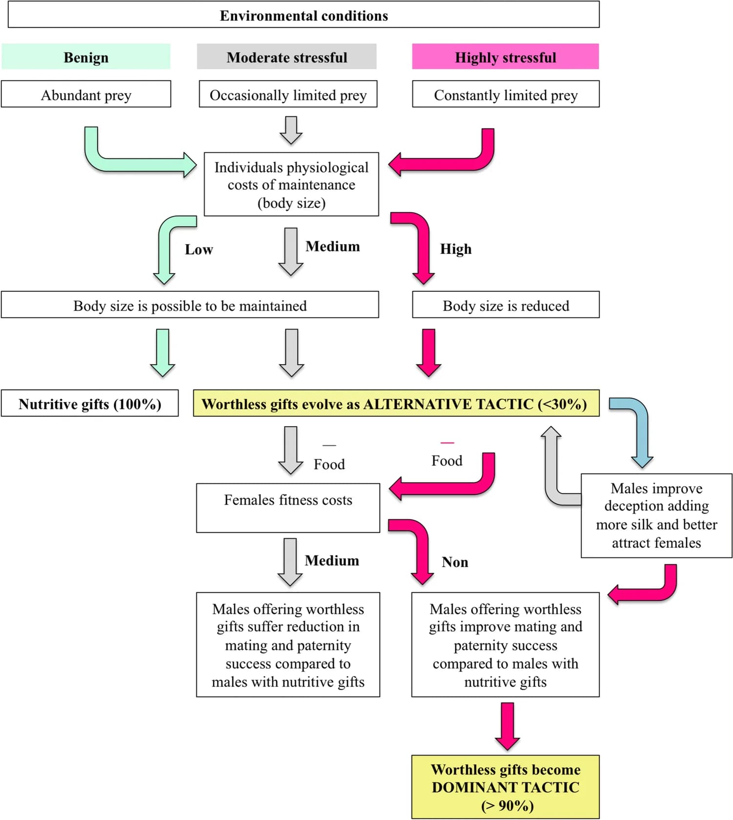 Open access visualization of Workflow, Flowchart, Evolution, Nuptial Gifts, Spider Populations