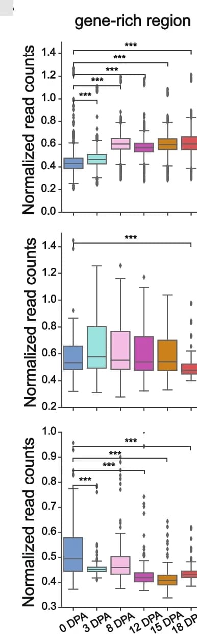 Open access visualization of Box Plot, Chromatin accessibility, H3K4me3, H3K27me3, Gene-enriched region