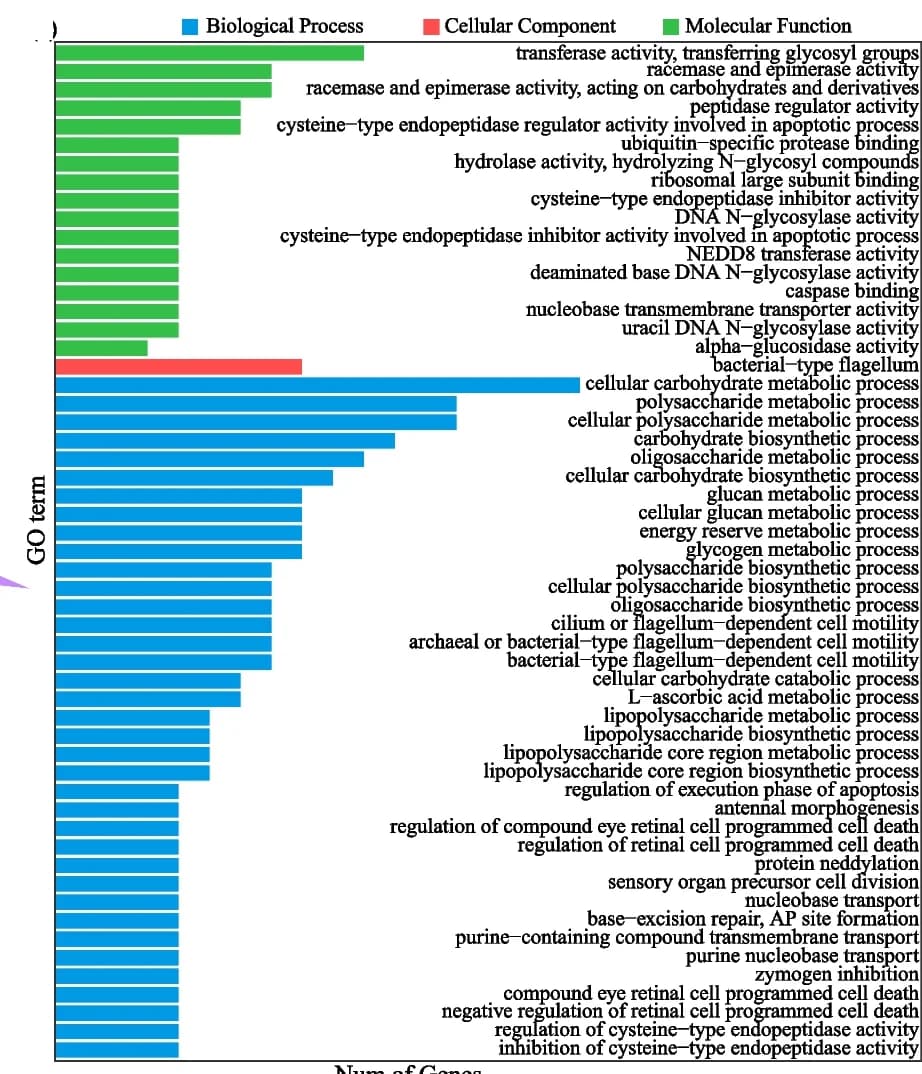 Open access visualization of Bar Plot, GO Enrichment, Expanded Gene Families, Biological Process