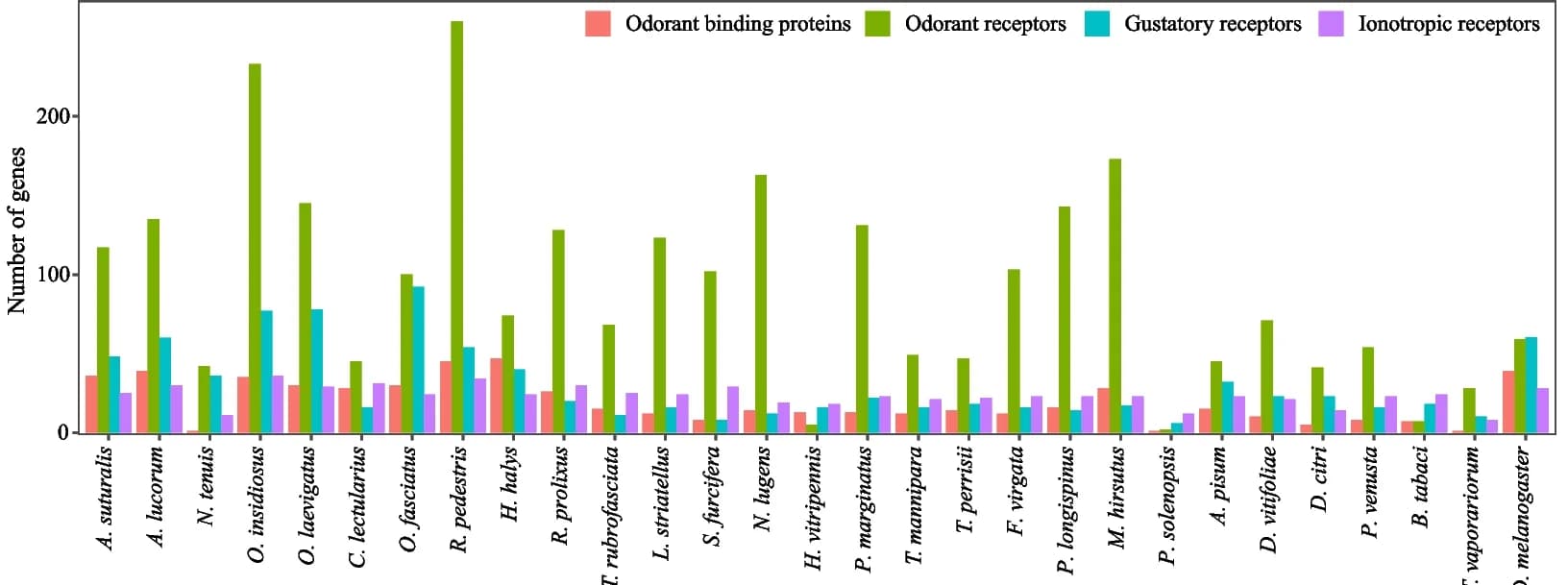 Open access visualization of Bar Plot, Clustered, Chemosensory Receptor Genes, Hemiptera, Gene Number