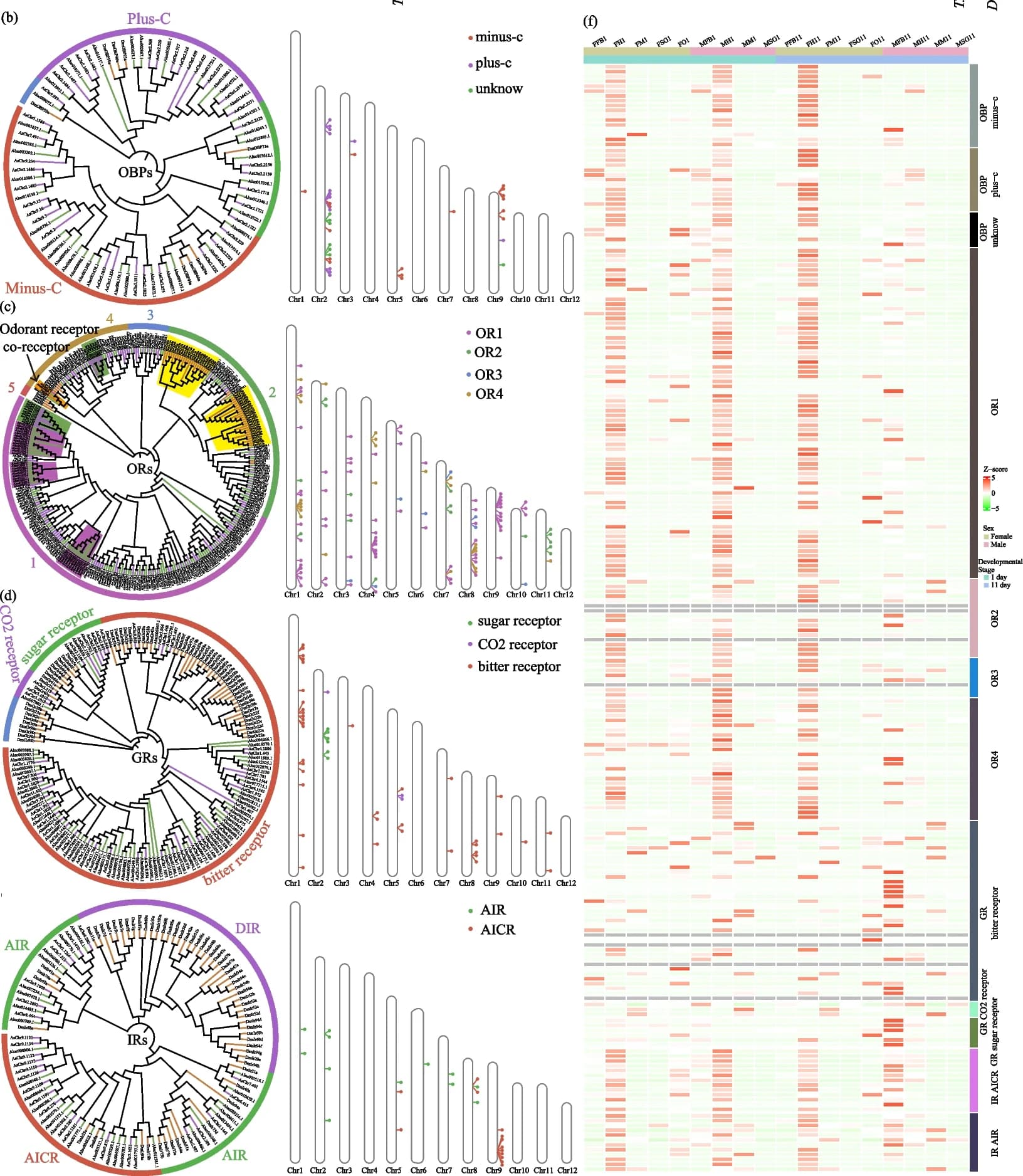 Open access visualization of Network, Heatmap, Clustered, Pathway, OBP Genes