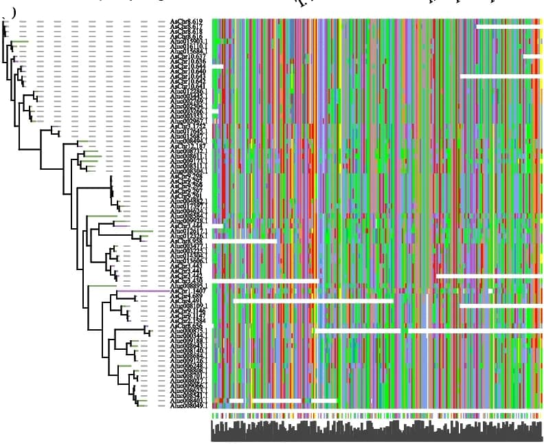 Open access visualization of Network, Heatmap, Bar Plot, Clustered, Phylogenetic Relationships