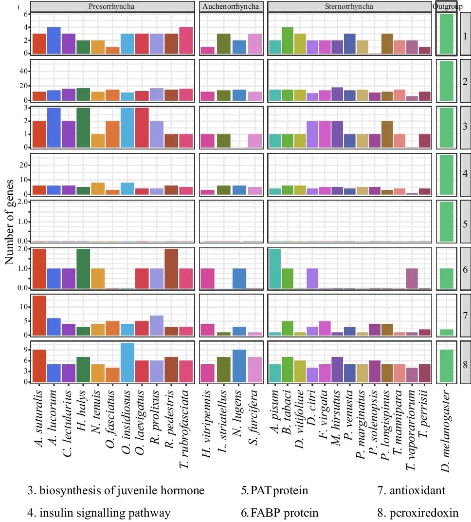 Open access visualization of Bar Plot, Long-Distance Flight, Genes, A. suturalis, Hemiptera