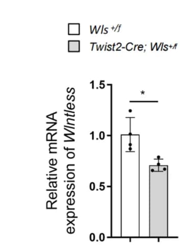 Open access visualization of Bar Plot, Error Bars, Quantitative PCR, Stromal Cells, Wls