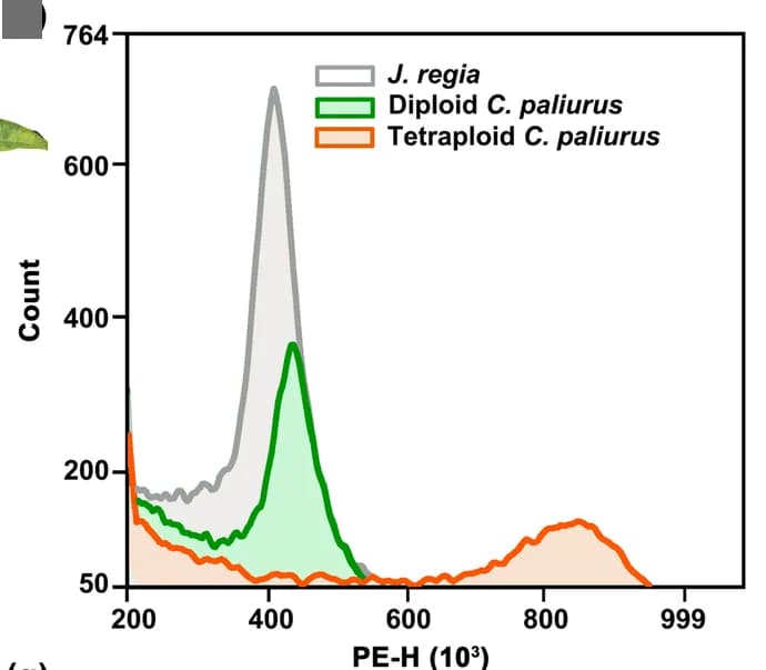 Open access visualization of Line Plot, Density Plot, Flow Cytometry, Histograms, PI Fluorescence Intensity