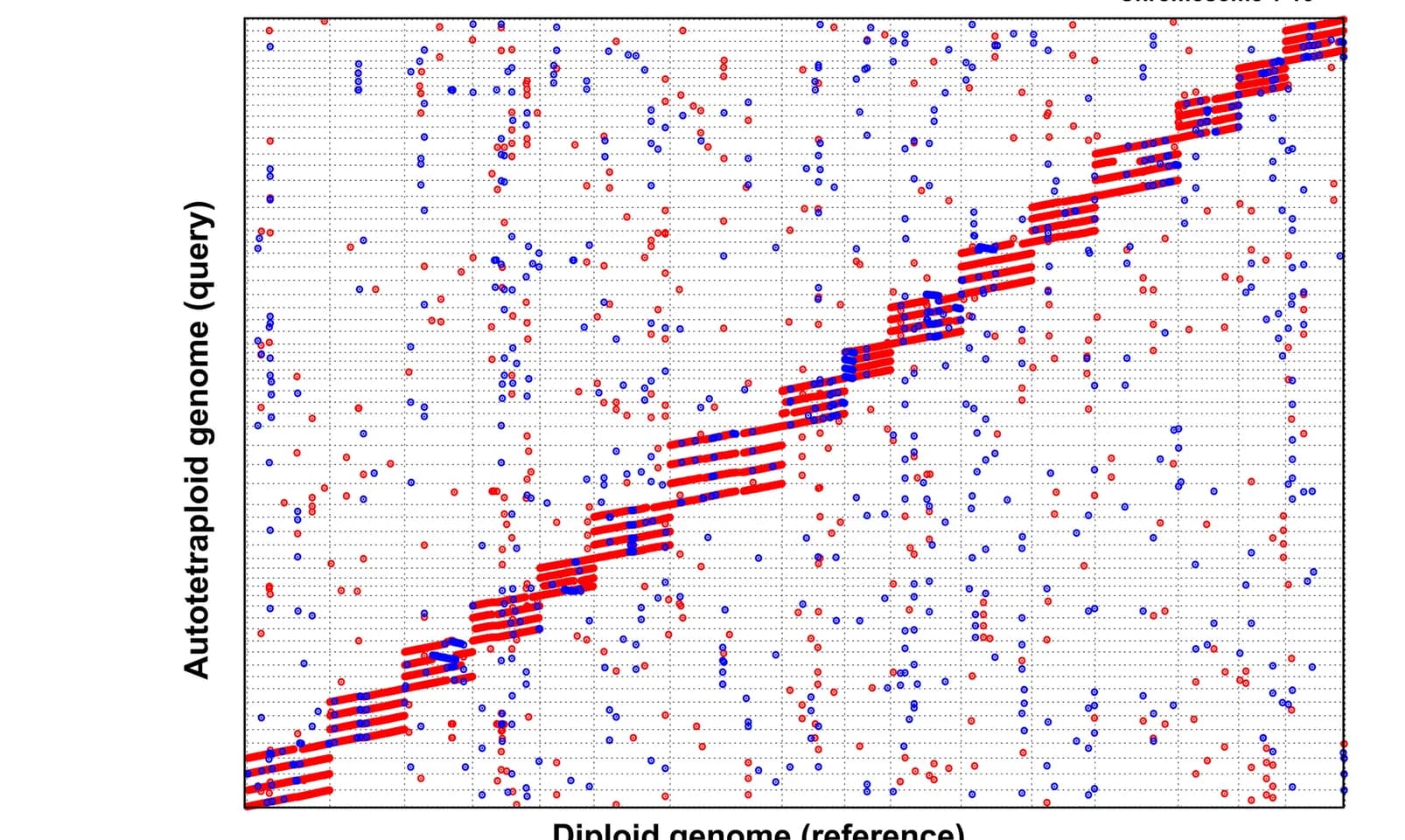 Open access visualization of Scatter Plot, Monoploid Chromosomes, Diploid Chromosome, Chromosome Alignment