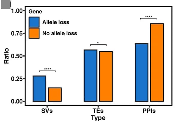 Open access visualization of Clustered, Bar Plot, Structural Variations, Transposable Elements, Protein-Protein Interactions