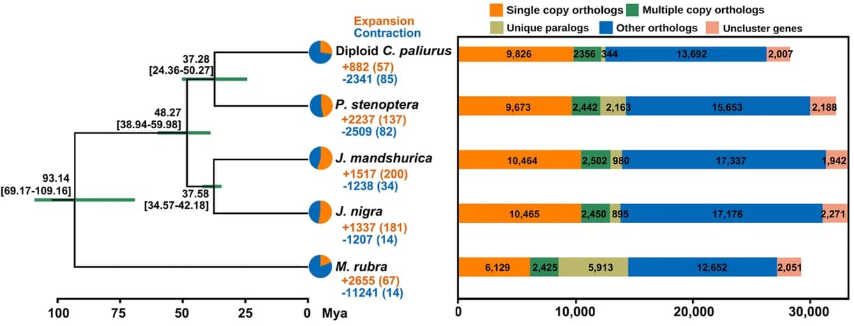 Open access visualization of Bar Plot, Stacked Bar Plot, Network, Pie Chart, Phylogenetic Tree