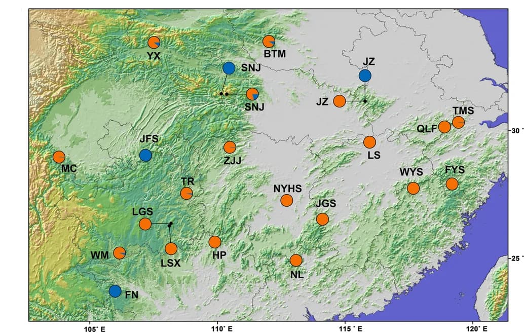 Open access visualization of Geo Map, C. paliurus samples, Geographic locations