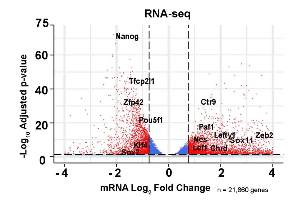 Open access visualization of Volcano Plot, Scatter Plot, mRNA Abundance, RNA-seq, Differential Gene Expression
