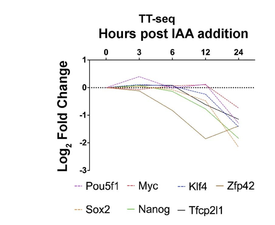 Open access visualization of Line Plot, DESeq2 Results, mRNA Transcription, Pluripotency Factors, Timecourse