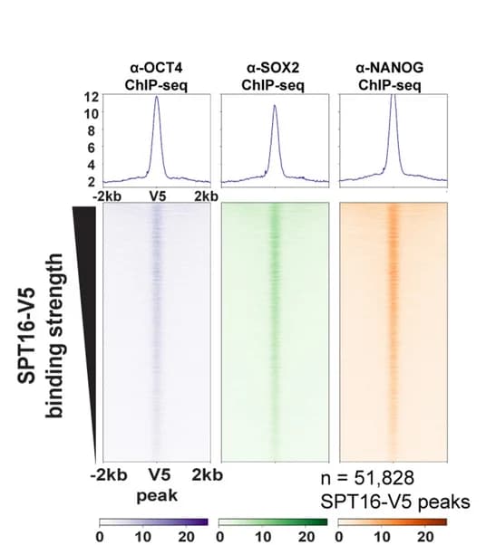 Open access visualization of Heatmap, Line Plot, OCT4, SOX2, NANOG