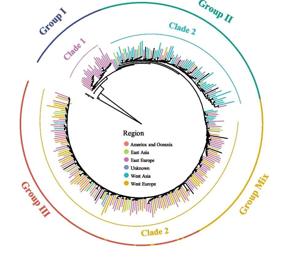 Open access visualization of Bar Plot, Neighbor-Joining Tree, Germplasms, L. corniculatus, L. frondosus