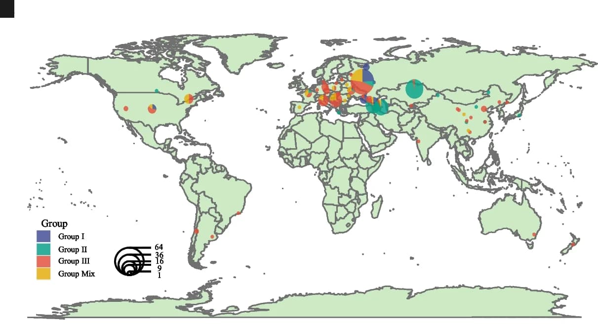 Open access visualization of Geo Map, Pie Chart, Bubble Plot, Nucleotide diversity, Germplasms