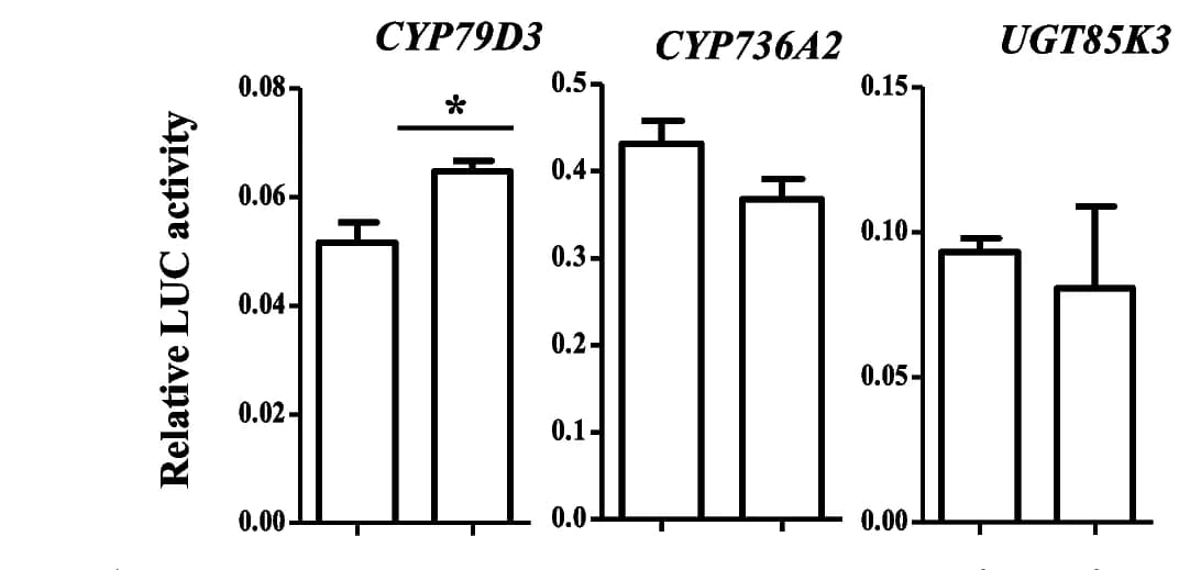Open access visualization of Bar Plot, Error Bars, Gene expression, CNglcs genes, Wild type