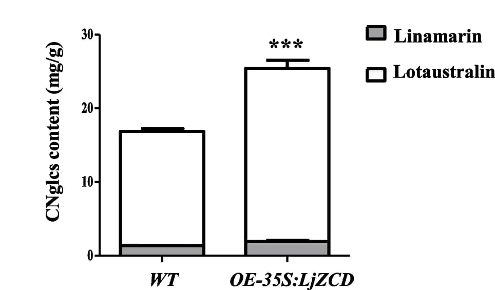 Open access visualization of Stacked Bar Plot, Error Bars, Cyanogenic glycosides, Lotaustralin, Linamarin