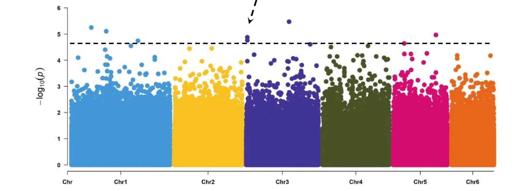 Open access visualization of Manhattan Plot, Scatter Plot, Manhattan Plots, Plant Height, GWAS