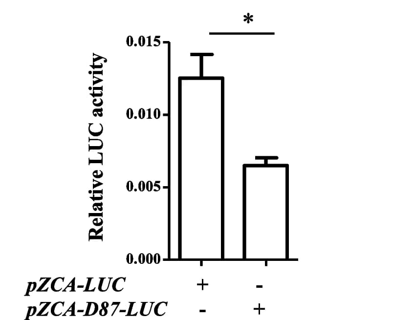 Open access visualization of Bar Plot, Error Bars, Luciferase Assays, Promoter, ANOVA