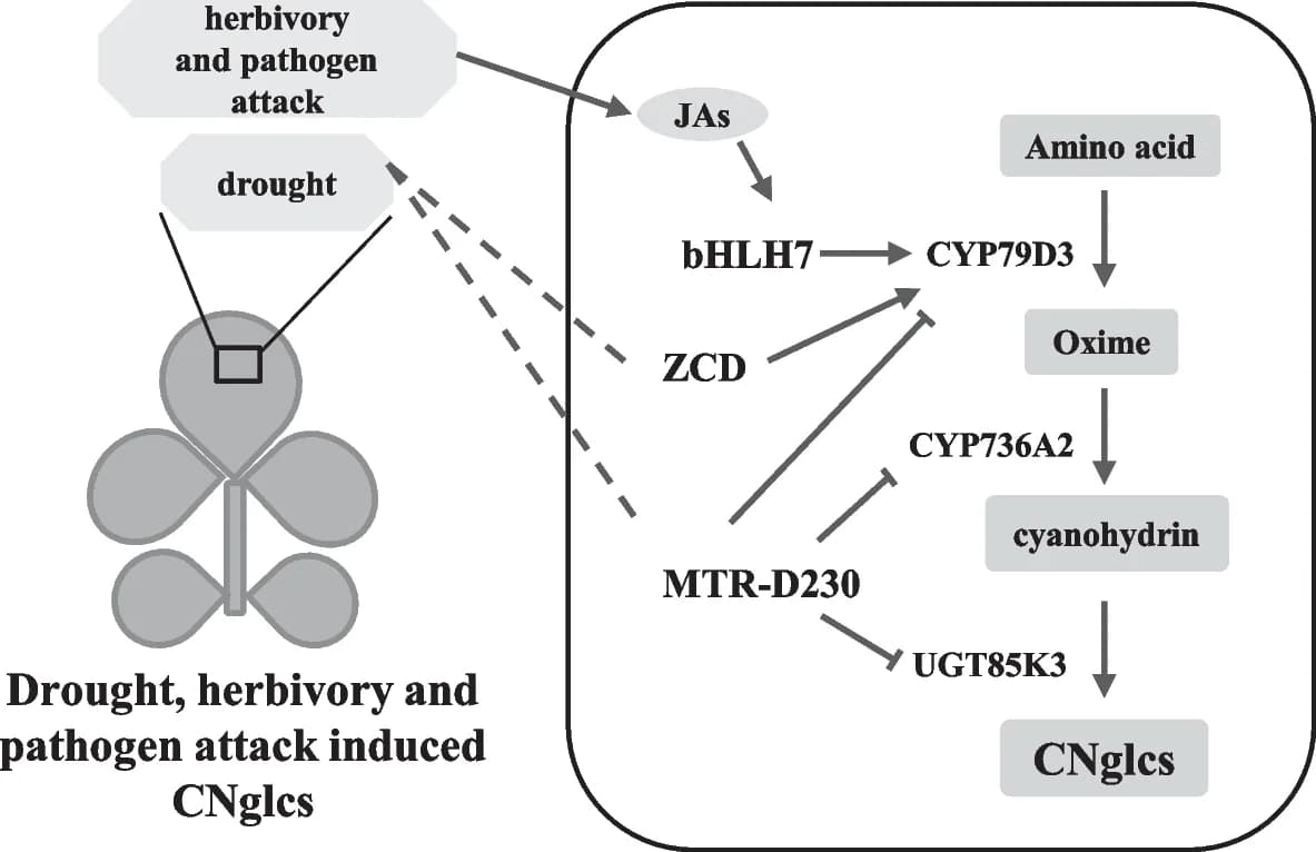 Open access visualization of Workflow, Flowchart, Drought, Herbivory, Pathogen Attack