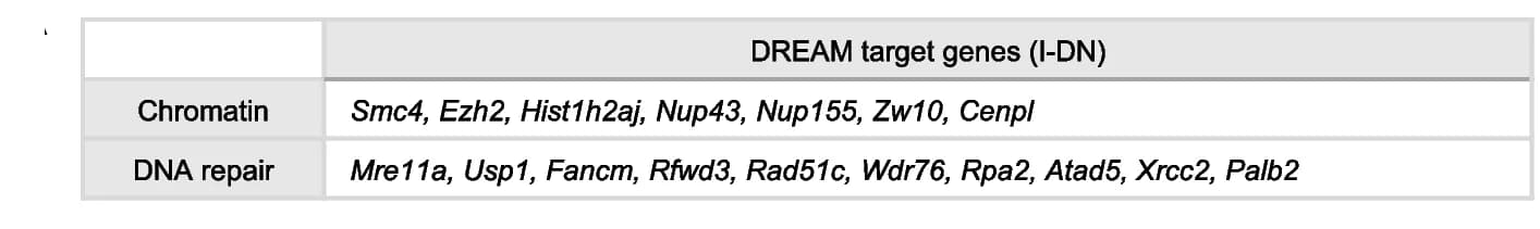 Open access visualization of Table Image, Chromatin, DNA repair, DREAM targets, CIZ1