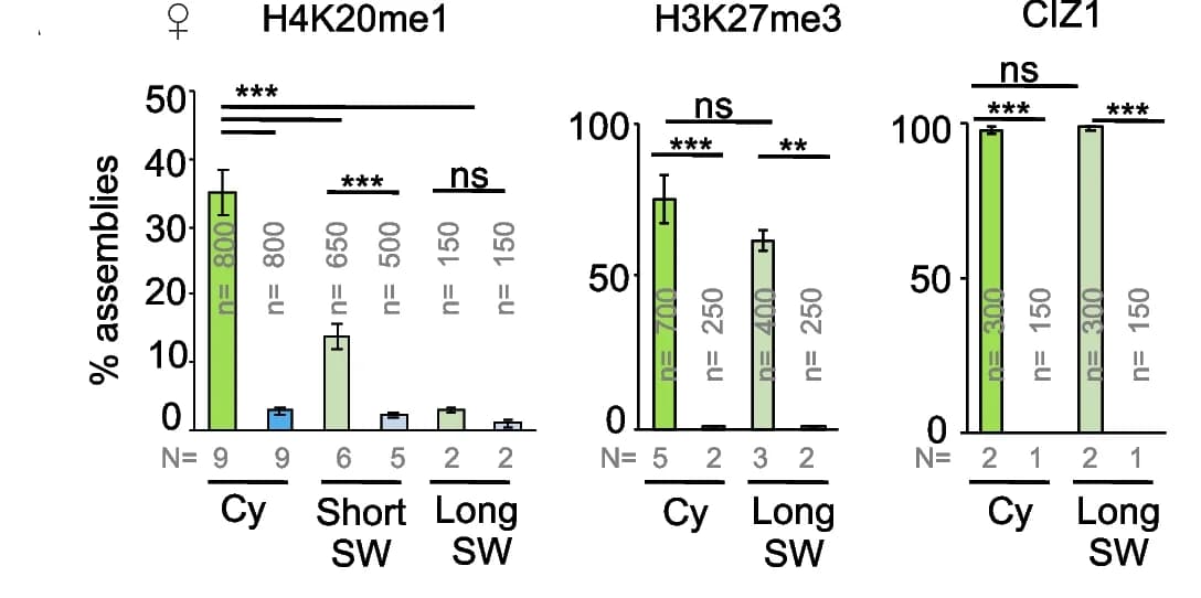 Open access visualization of Bar Plot, Error Bars, H4K20me1, H3K27me3, CIZ1