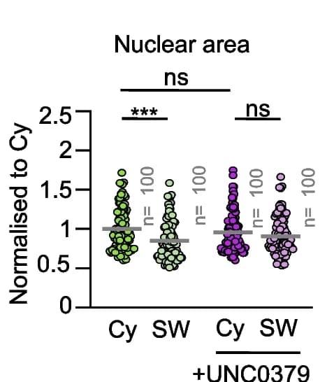 Open access visualization of Scatter Plot, UNC0379, Nuclear Area, Short SW, WT PEFs