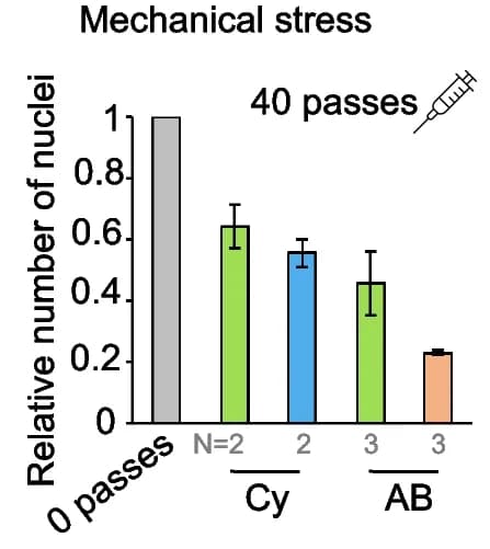 Open access visualization of Bar Plot, Error Bars, Nuclei, Cell Survival