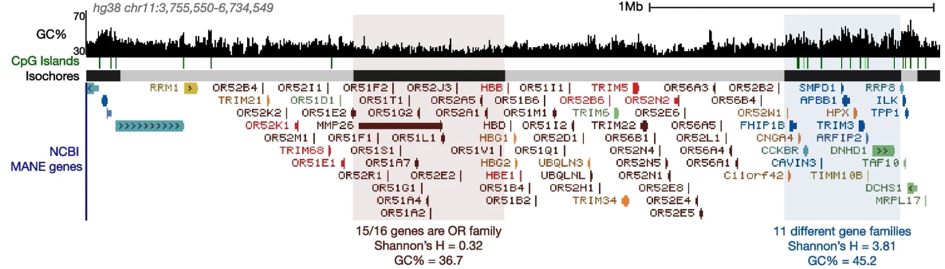 Open access visualization of Line Plot, UCSC Genome Browser, GC% Trajectory, CpG Islands, Isochores