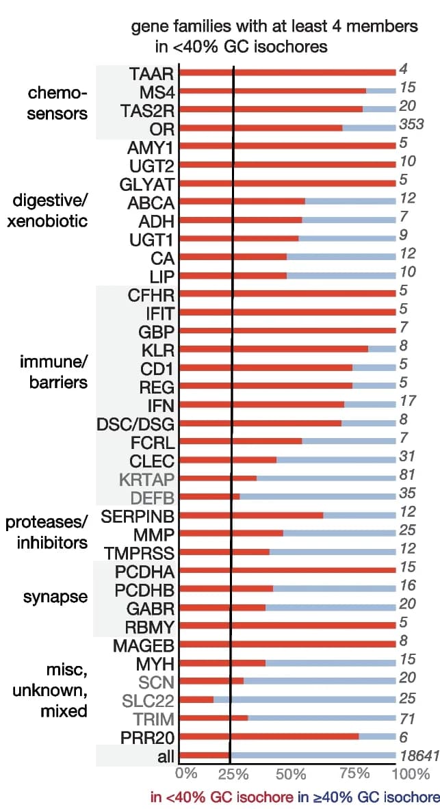 Open access visualization of Bar Plot, Stacked Bar Plot, Gene Families, Isochores, AT-Rich Isochores