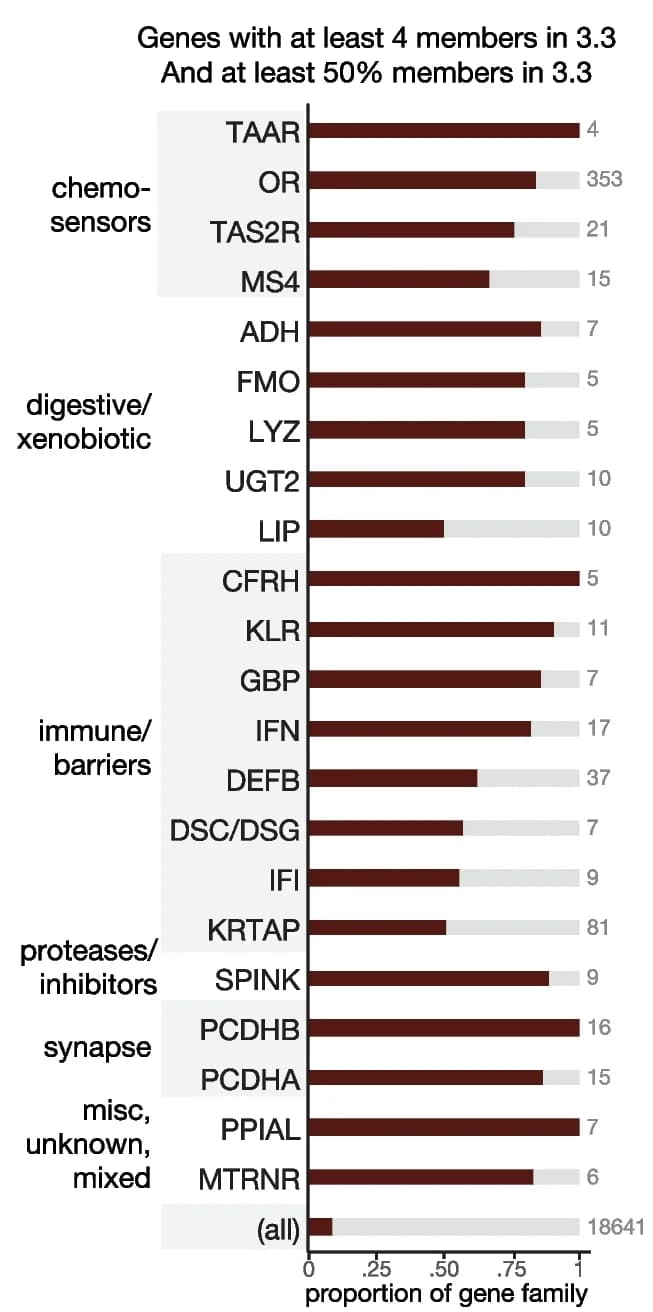 Open access visualization of Bar Plot, Stacked Bar Plot, Gene name prefix, Cluster, Gene families