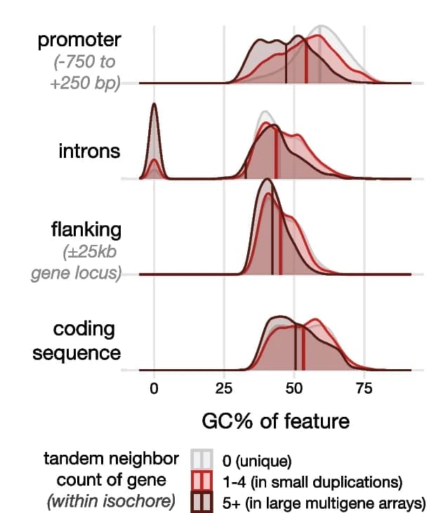 Open access visualization of Density Plot, Line Plot, Promoter, Intron, Flanking sequence