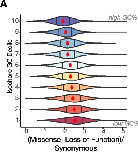 Open access visualization of Violin Plot, Non-synonymous variants, Synonymous variants, Rare variants, Genes