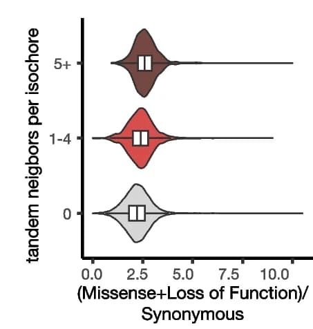 Open access visualization of Violin Plot, Box Plot, Variant rates, Genes, Paralogous neighbors