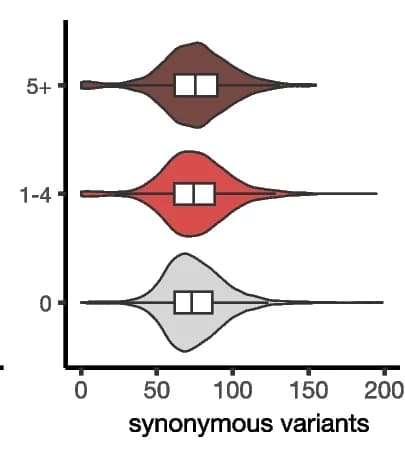Open access visualization of Violin Plot, Box Plot, Variant rates, Genes, Paralogous neighbors