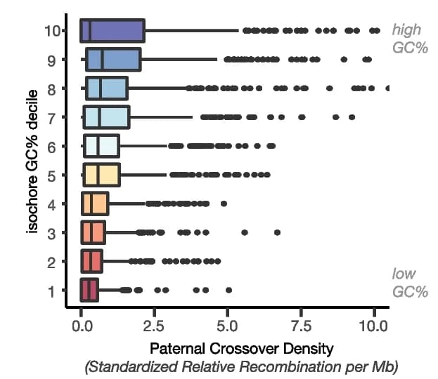 Open access visualization of Box Plot, Scatter Plot, Crossover Rate, Isochore, GC Content