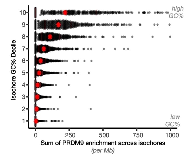 Open access visualization of Violin Plot, Scatter Plot, PRDM9, Peak Enrichment, Isochore