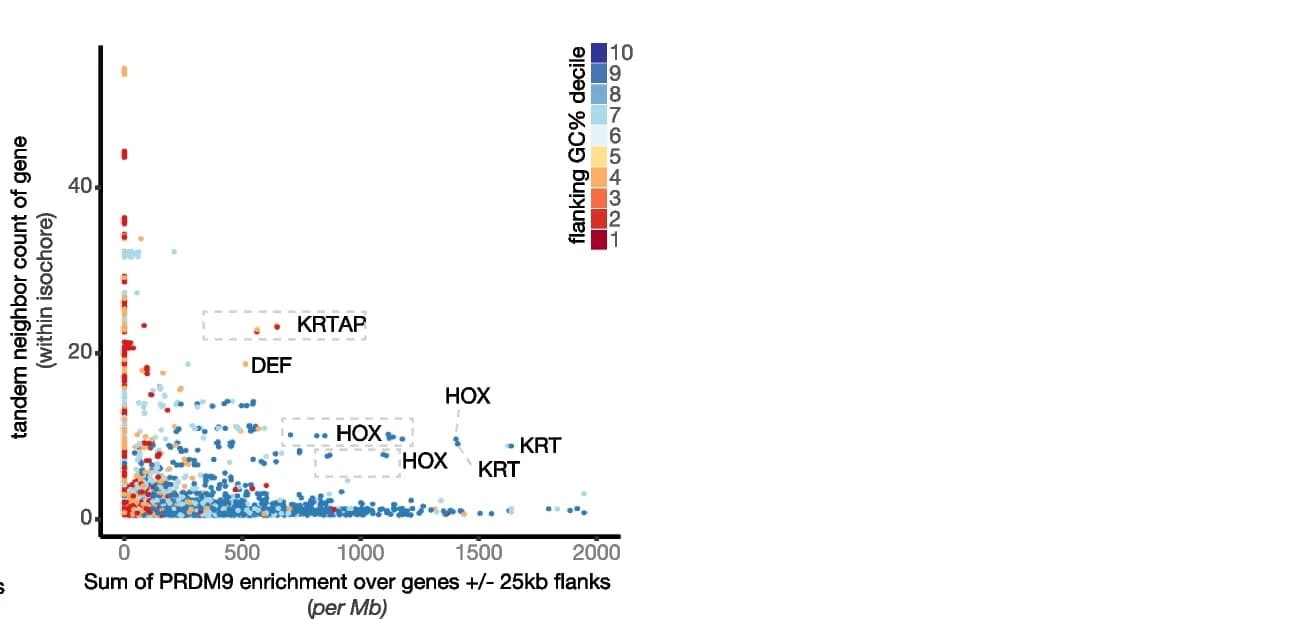 Open access visualization of Scatter Plot, Scatterplot, Gene, Isochore, PRDM9 Enrichment