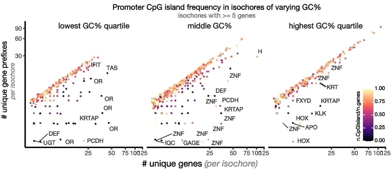 Open access visualization of Scatter Plot, Promoter, CpG island, Isochore, Gene content