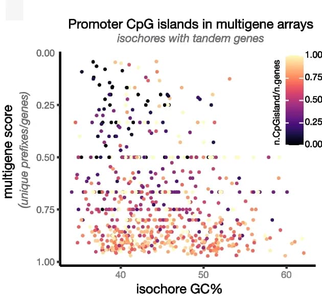 Open access visualization of Scatter Plot, Multigene score, Isochore, GC content, Tandem Duplicated Genes