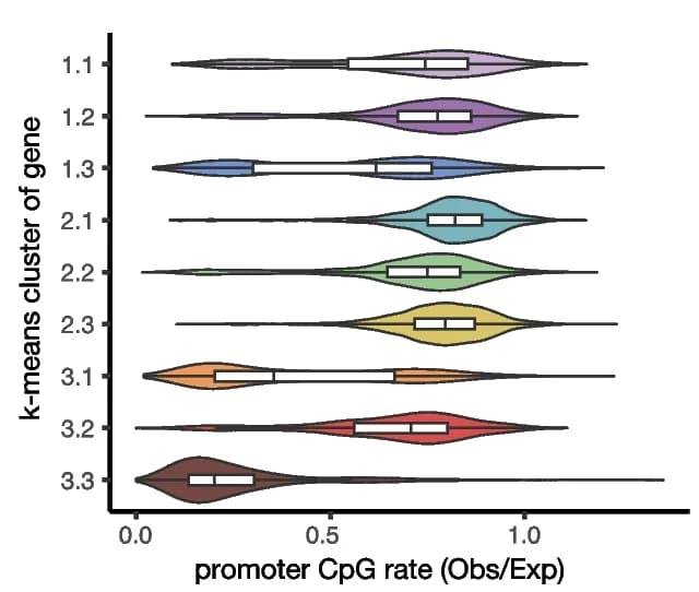 Open access visualization of Violin Plot, Box Plot, Promoter, CpG Rate, Genes