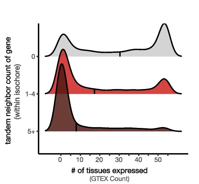 Open access visualization of Ridge Plot, Density Plot, Gene Expression, Genes, Tandem Duplication Score