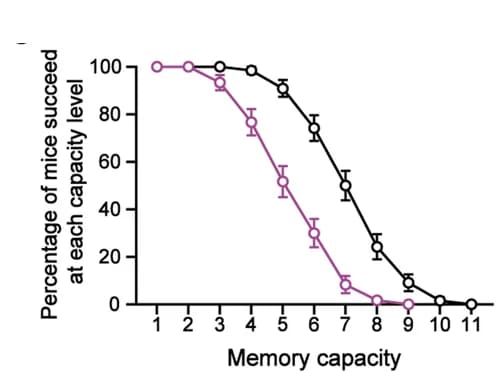 Open access visualization of Line Plot, Error Bars, Capacity level, Mice, Success rate