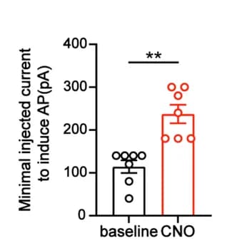 Open access visualization of Bar Plot, Error Bars, Injected Current, Action Potential, Student's t-test