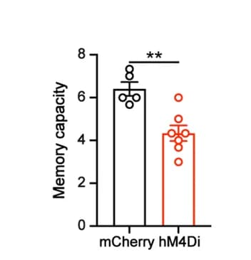 Open access visualization of Bar Plot, Error Bars, WMC, Mice, mCherry