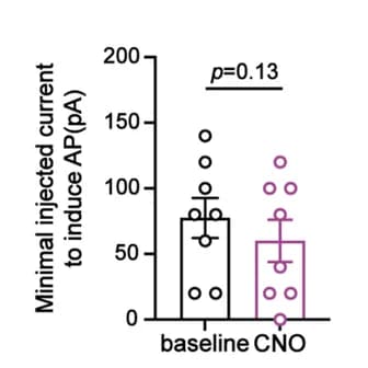 Open access visualization of Bar Plot, Error Bars, Injected Current, Action Potential, PrL Neuron