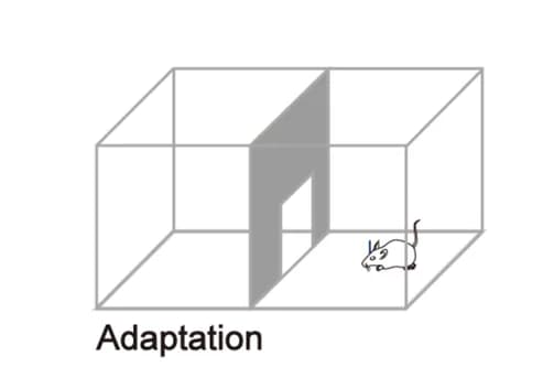 Open access visualization of Illustration, OWMC task, Context adaptation
