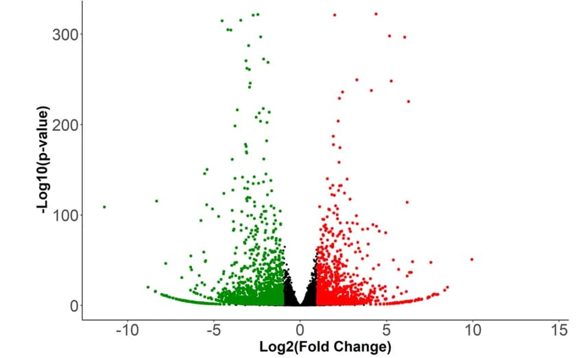 Open access visualization of Volcano Plot, Scatter Plot, RNA-seq, Gene Expression, Upregulated Genes