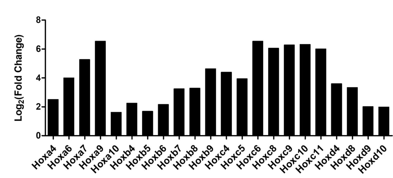 Open access visualization of Bar Plot, Gene Expression, Hox Genes