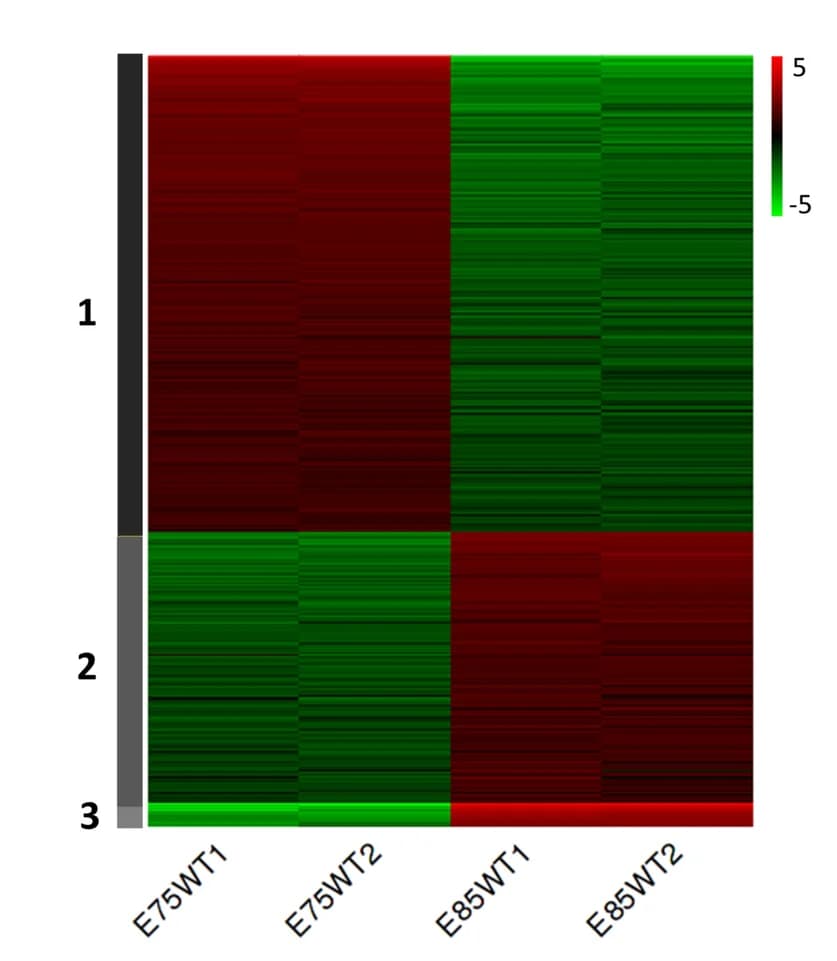 Open access visualization of Heatmap, K-means Clustering, Variable Genes, Gene Clusters